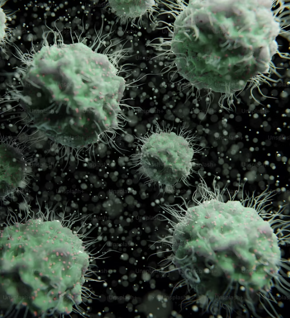 Infection Control NIMEP infection-control-nimep